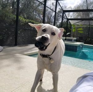 Meet your Posher, Amy